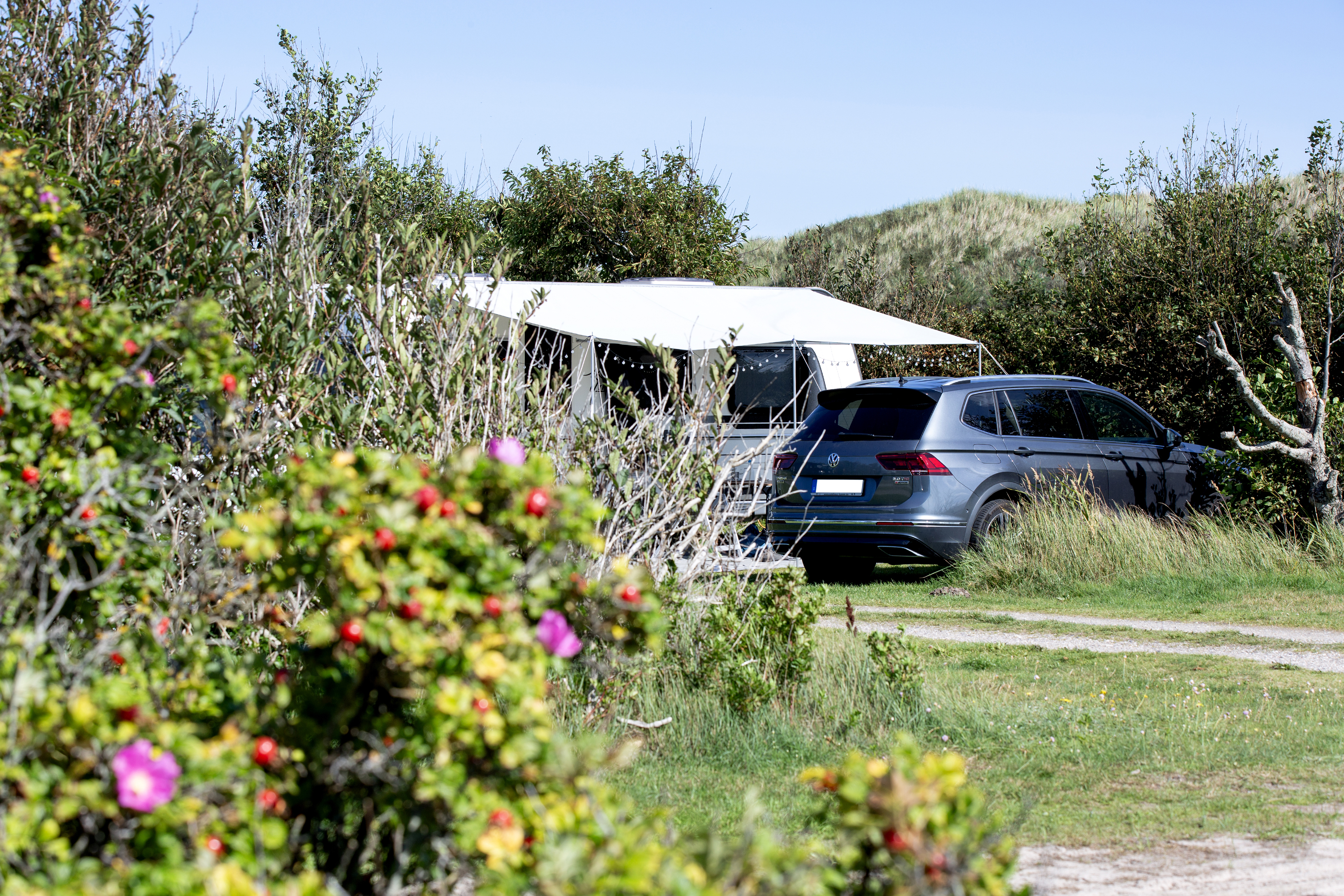 Sæsonplads: Helsæson - i egen vogn (12)